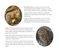 Page preview 8 of Last Leaf of Autumn